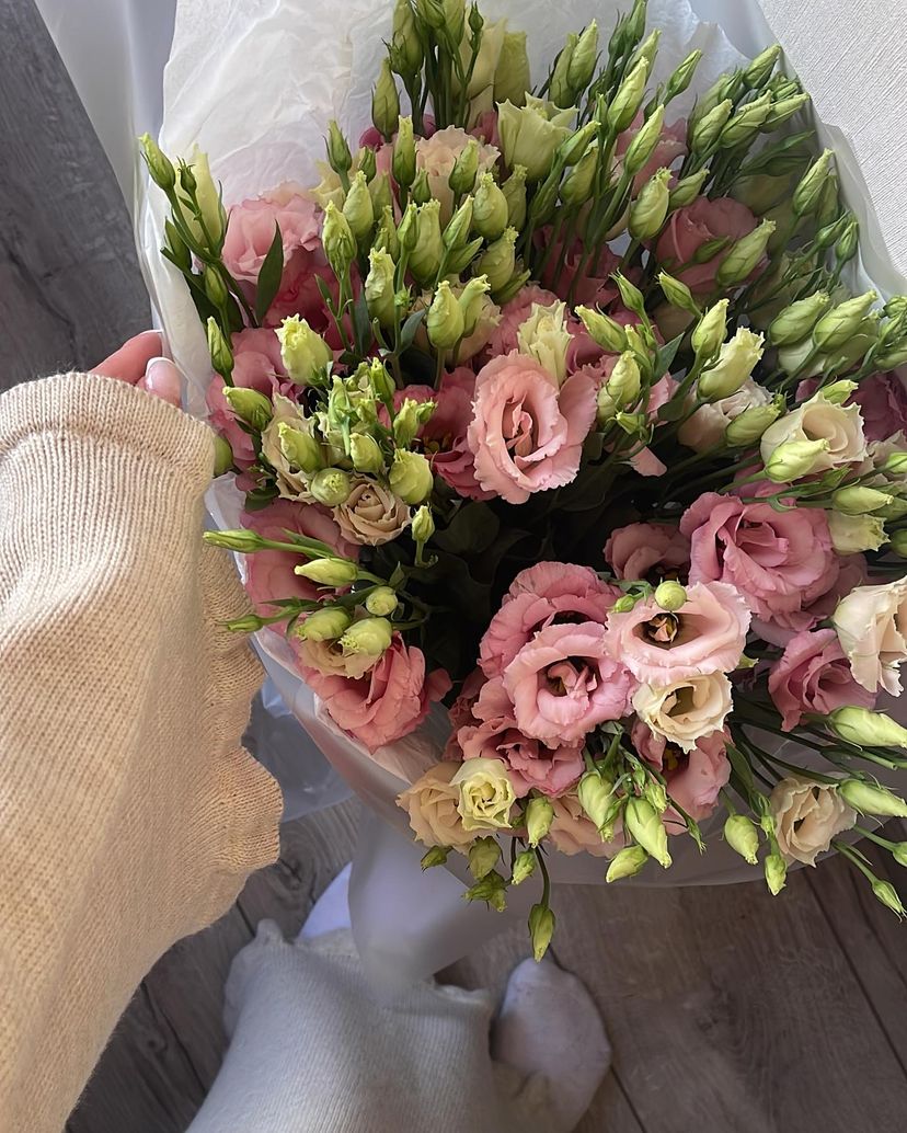 No. 022 Pink Eustoma