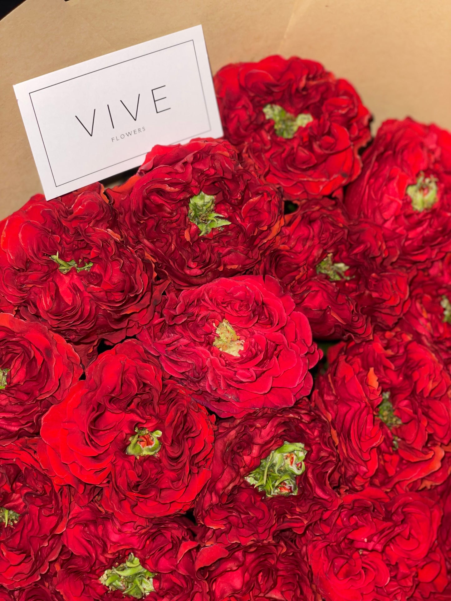 No. 1009 Sensual Ruby Roses