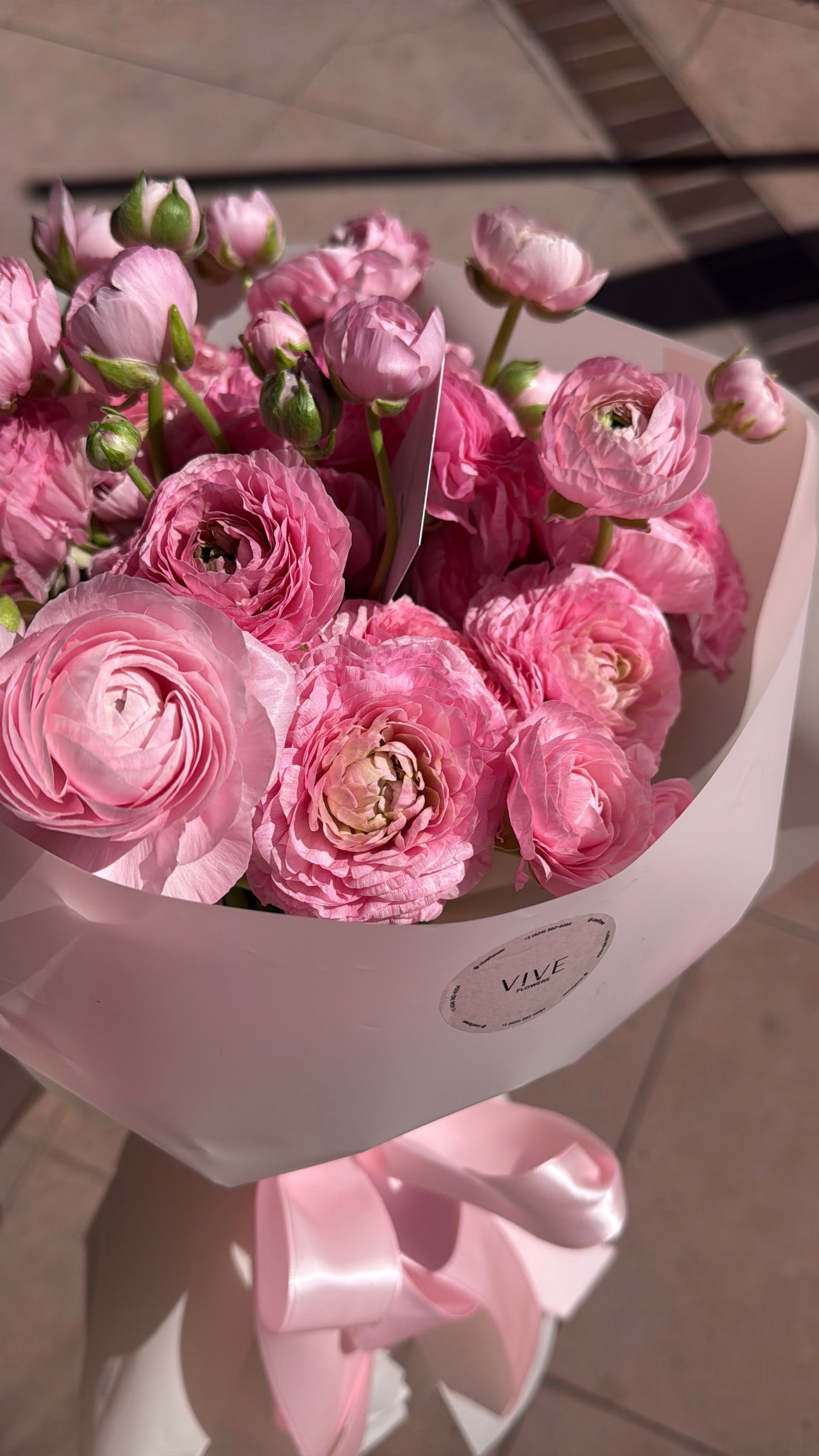 No. 032 Cotton Candy Pink Ranunculus