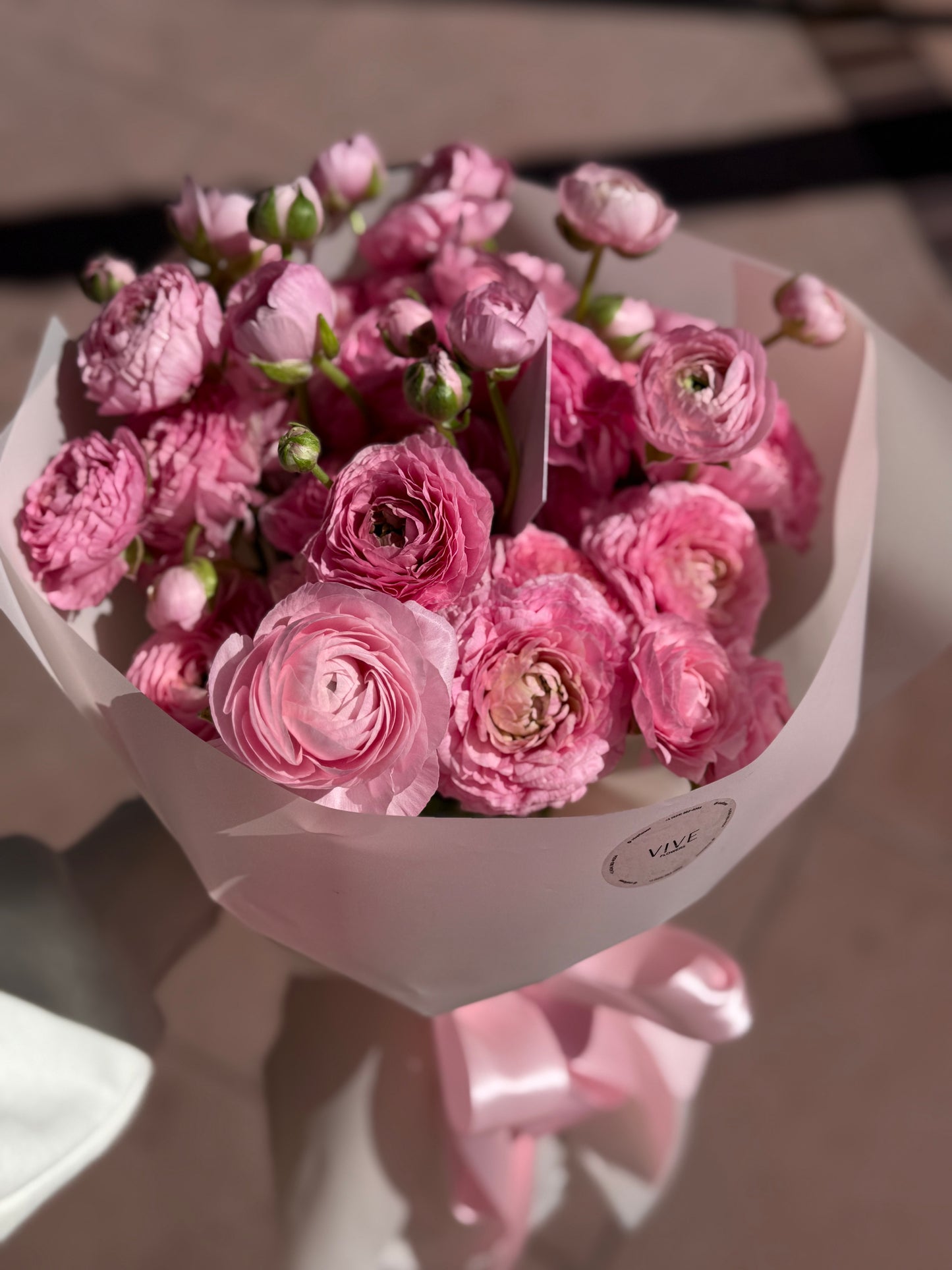 No. 032 Cotton Candy Pink Ranunculus