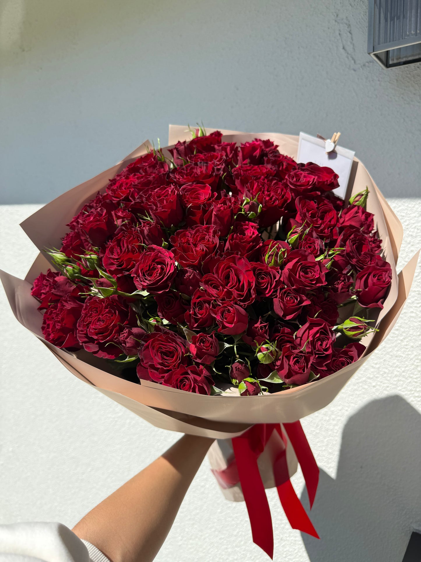 No. 031 Scarlet Kiss Spray Roses