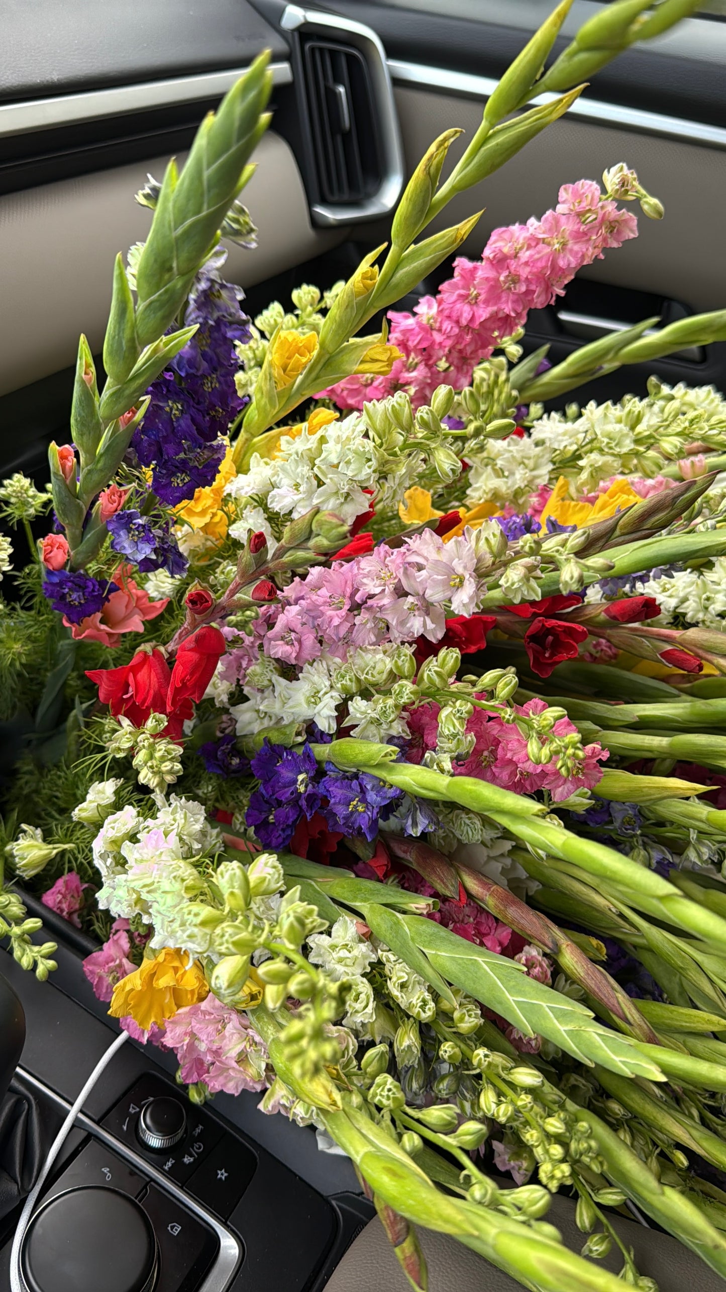 No. 1022 Wild Elegance – Gladiolus & Delphinium Mix