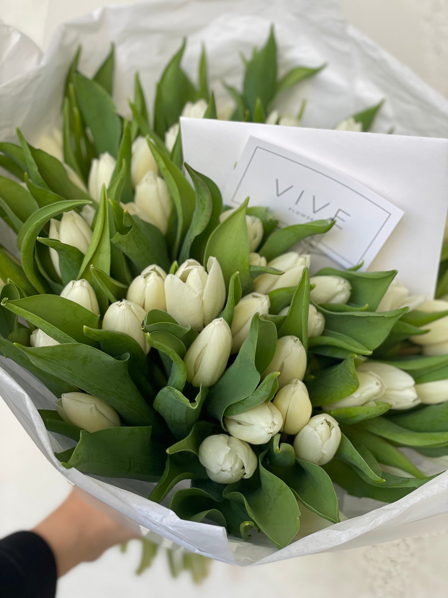 No. 013 White Tulips