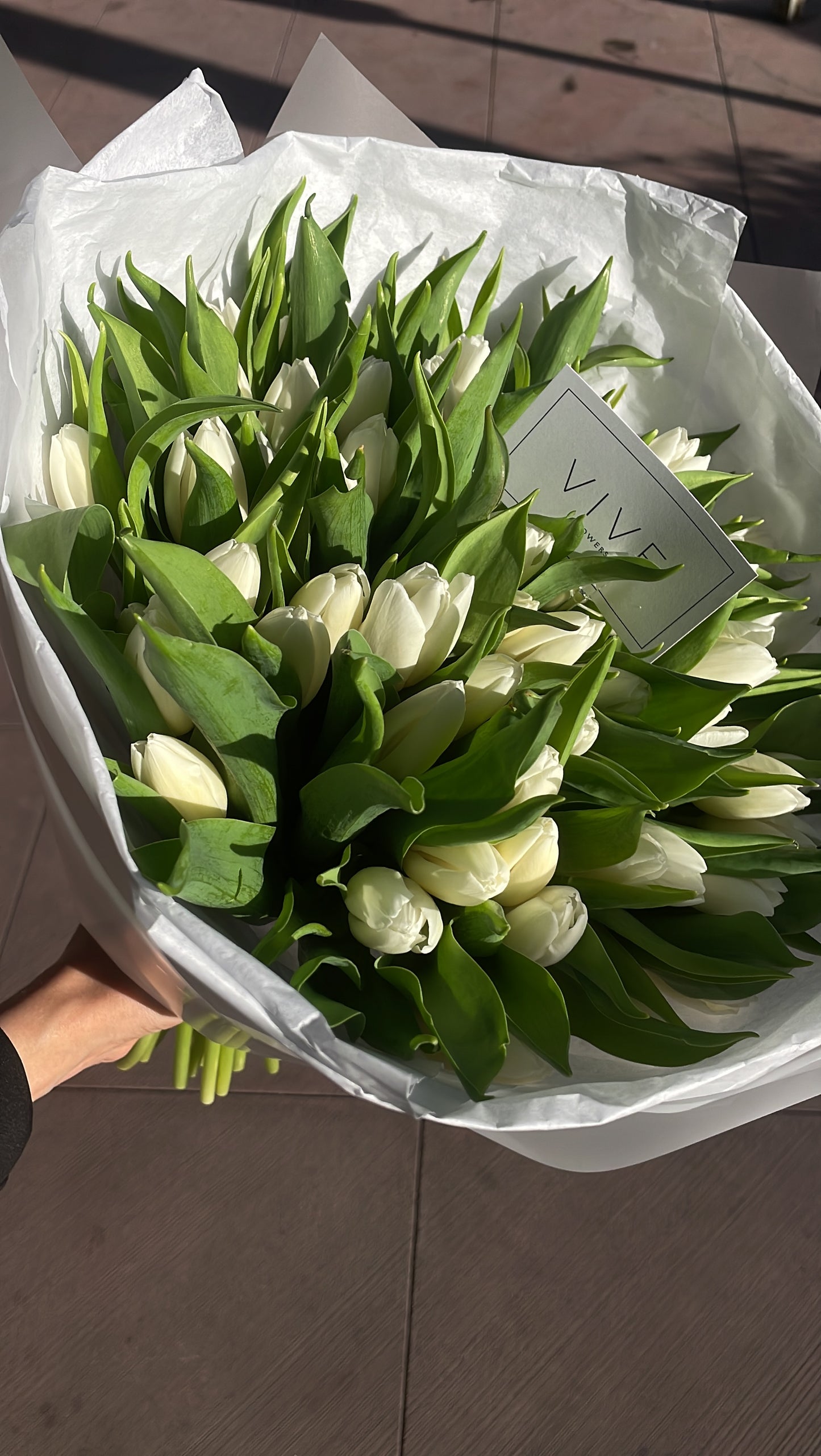 No. 013 White Tulips