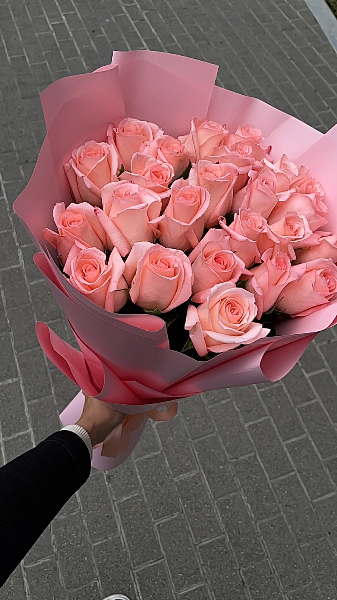 No. 012 Zephyr Roses
