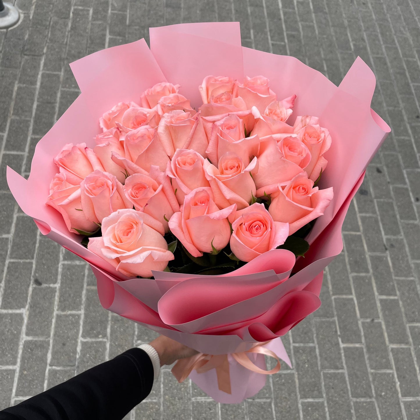 No. 012 Zephyr Roses