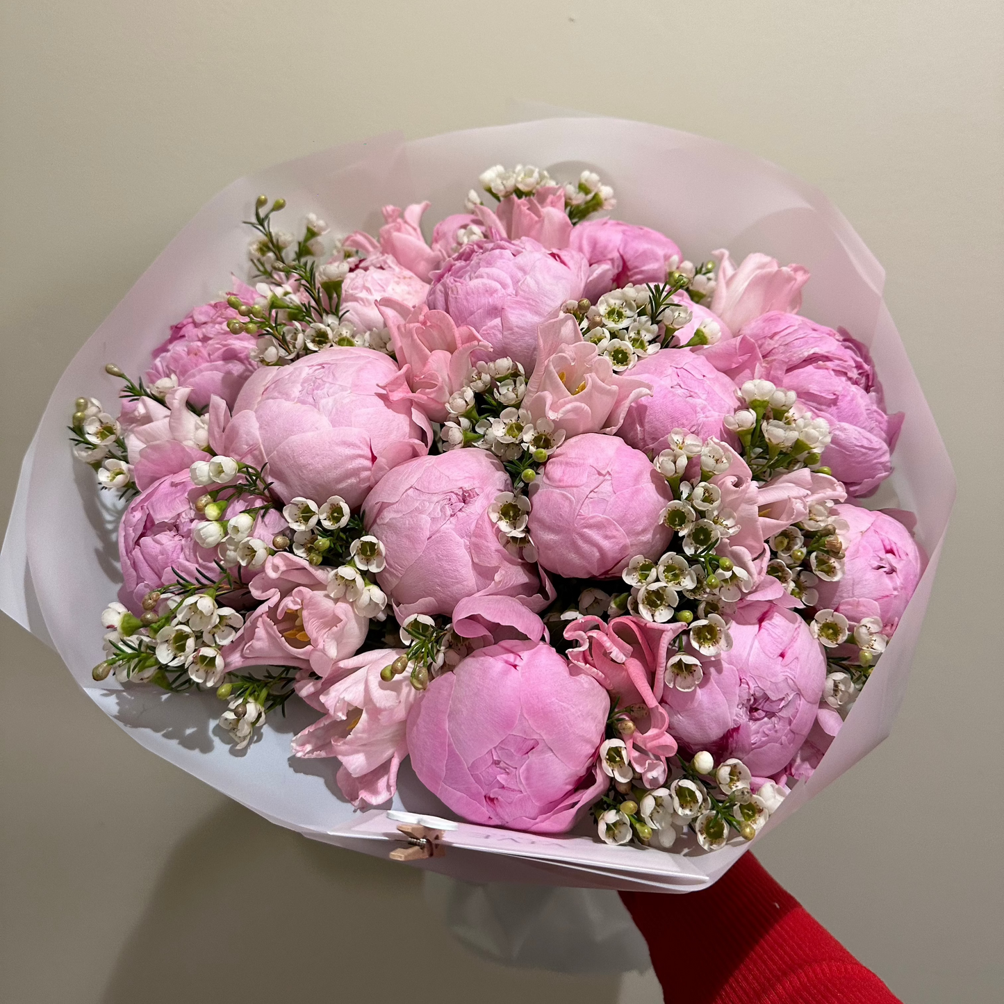 No. 037 Pink Peony Dream