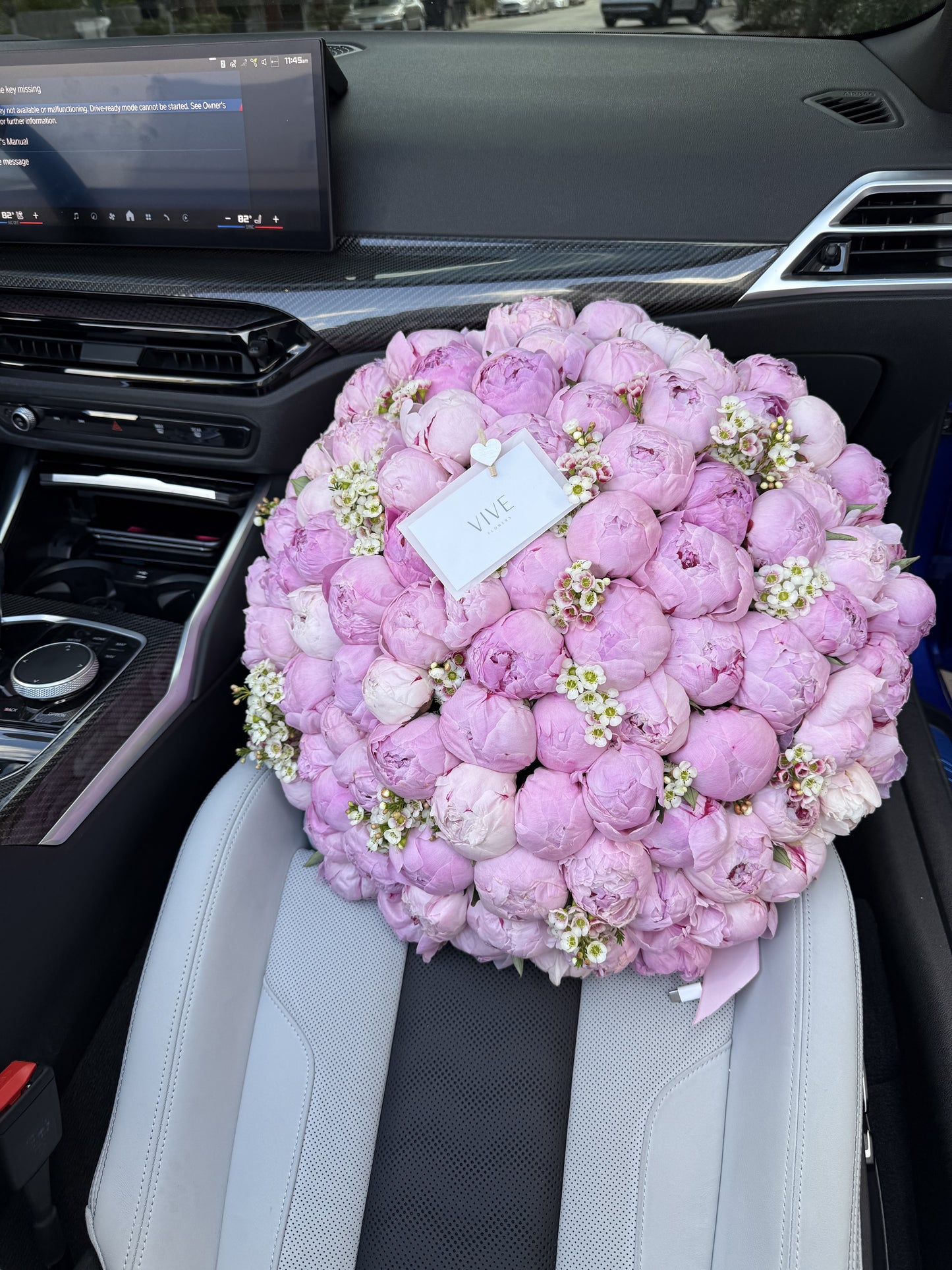 101 pink peony