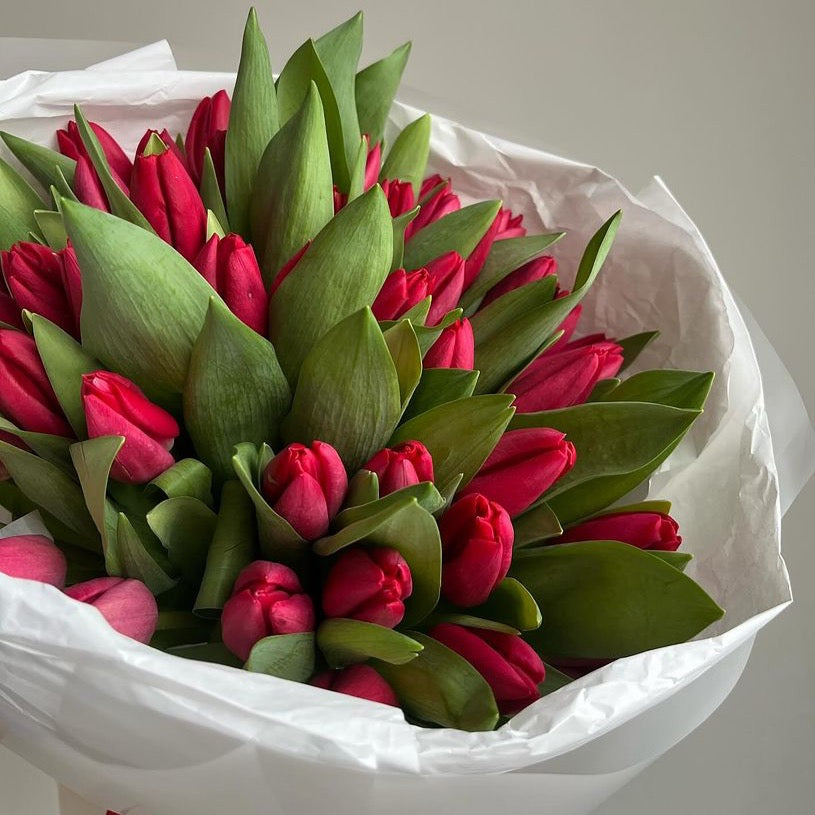 No. 002 Red Tulips