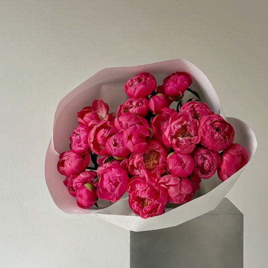 No. 1012 Coral Charm Peonies