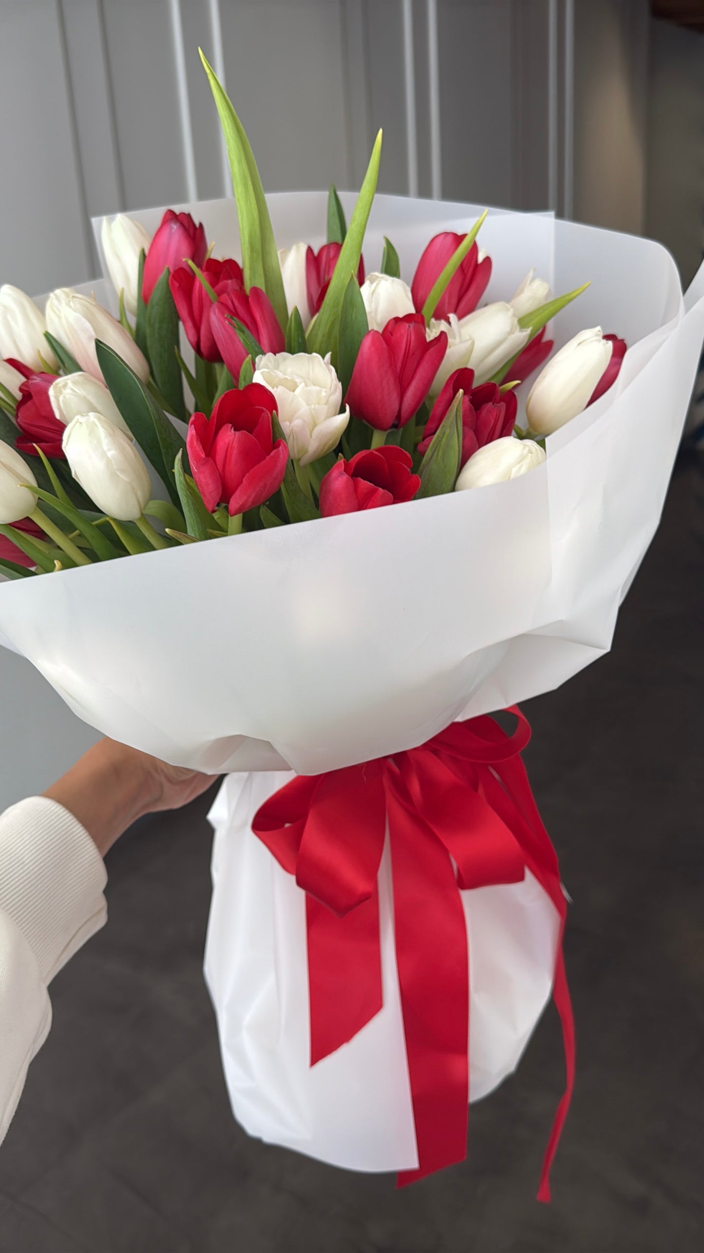 No. 033 Red & White Harmony Tulips