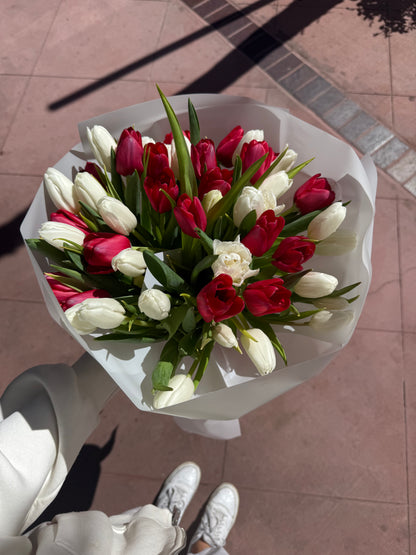 No. 033 Red & White Harmony Tulips