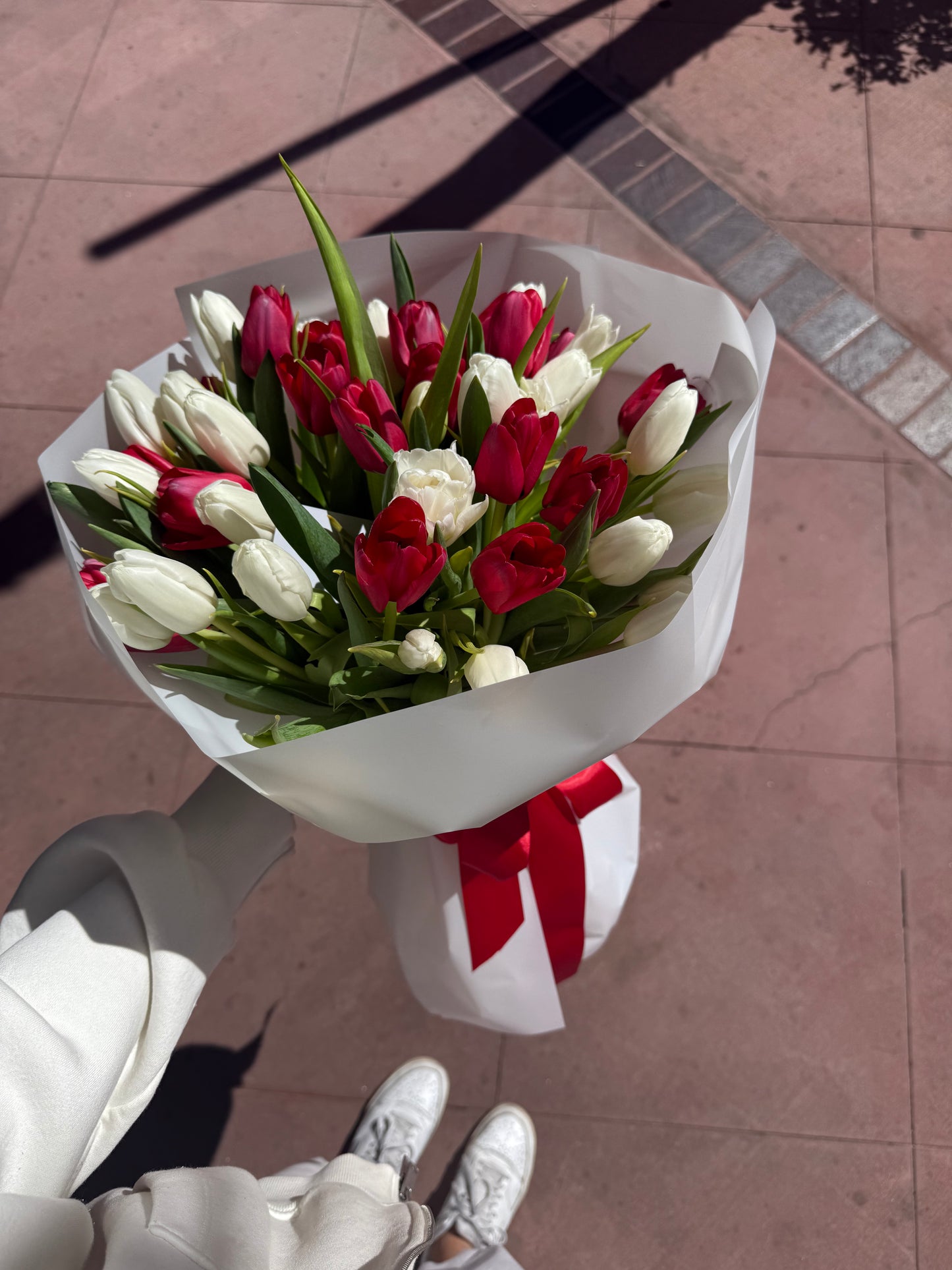 No. 033 Red & White Harmony Tulips