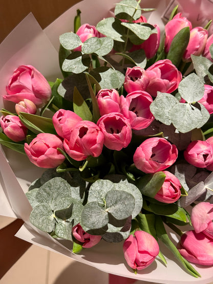 No. 027 Blushing Tulip Symphony