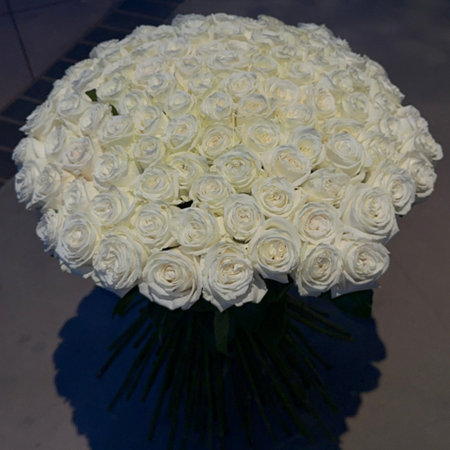 No. 1005 Pure Elegance Roses