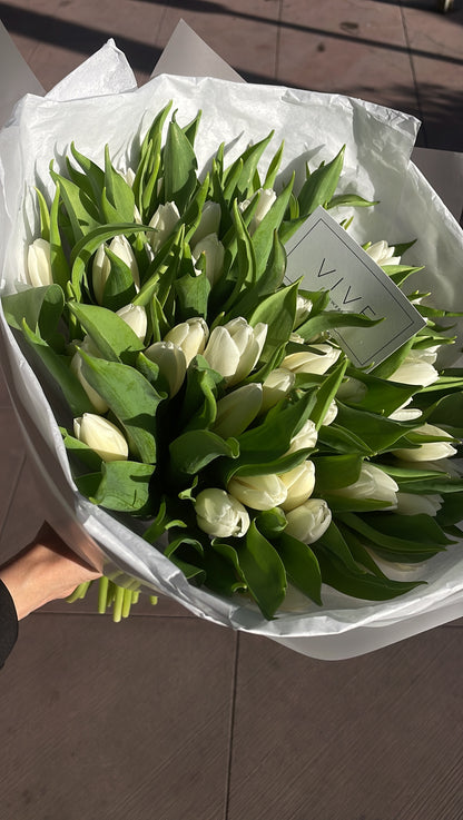 No. 013 White Tulips
