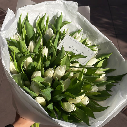 No. 013 White Tulips