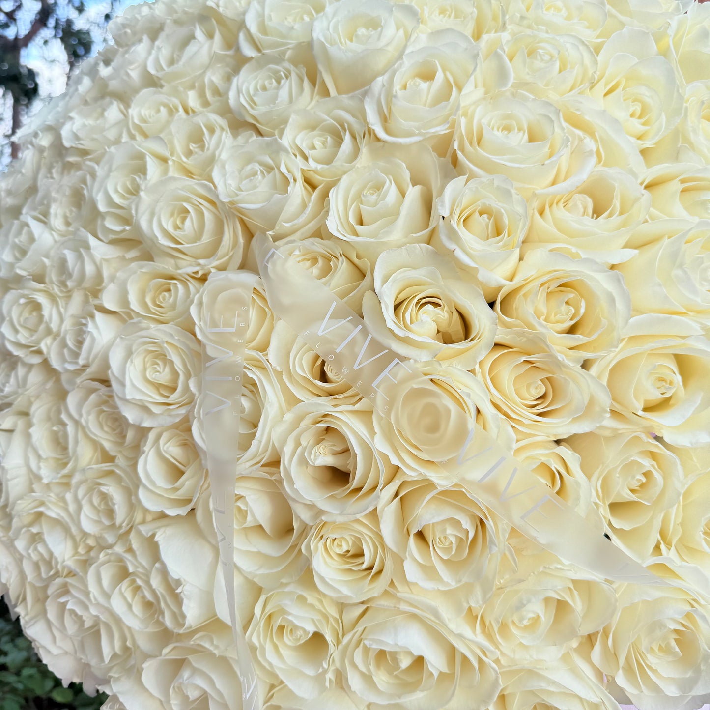No. 1005 Pure Elegance Roses