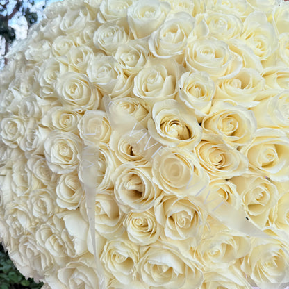 No. 1005 Pure Elegance Roses