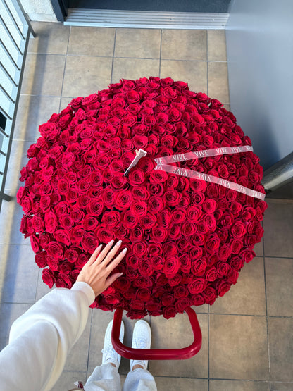 No. 024 Red Rouge Roses