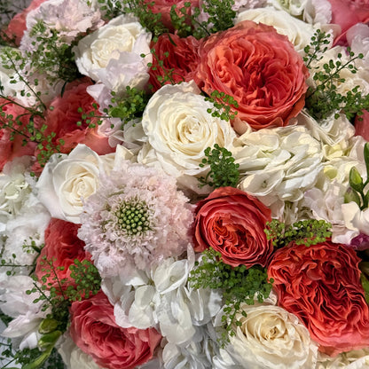 No. 001 Coral Blush