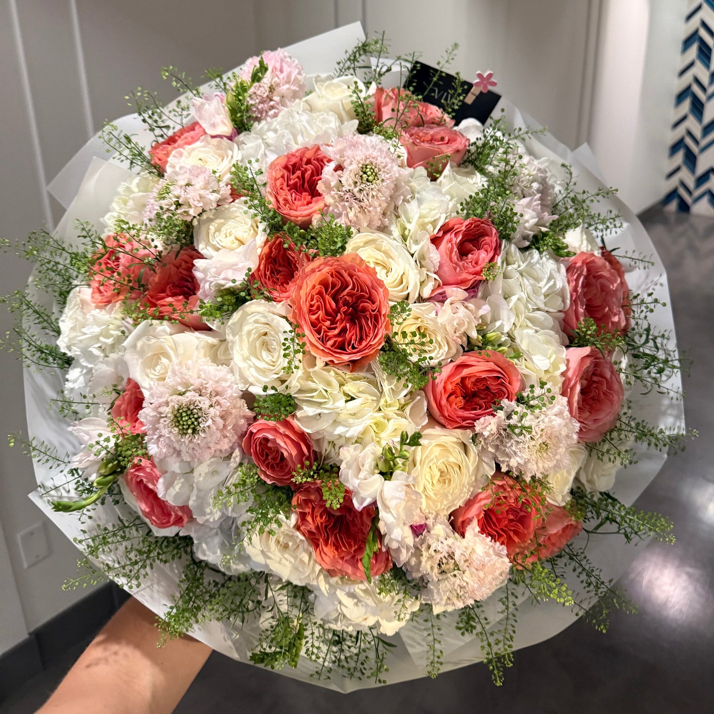 No. 001 Coral Blush
