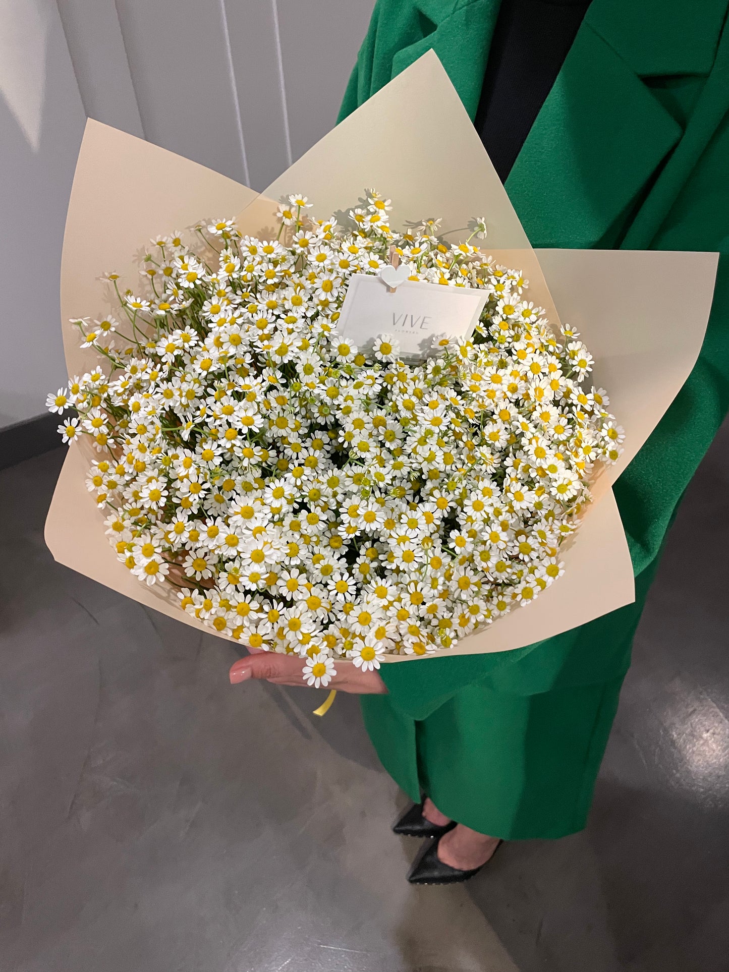 No. 025 Sunny Daisy Delight