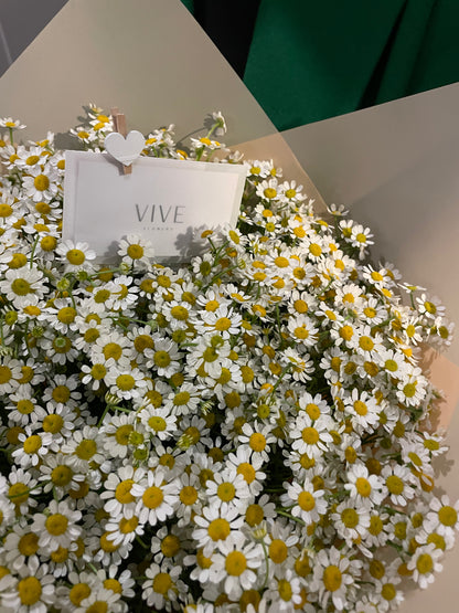 No. 025 Sunny Daisy Delight