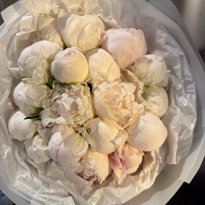 No. 003 Snowballs Peonies